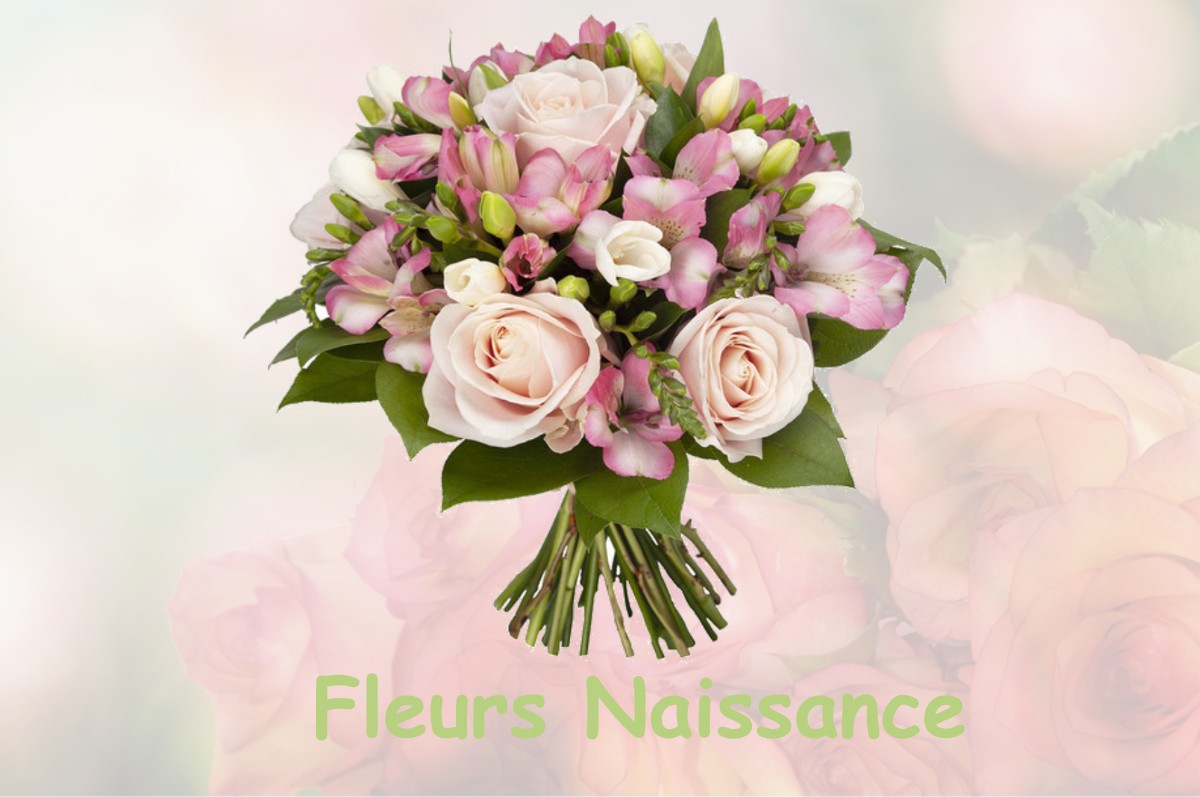 fleurs naissance VILLE-SOUS-ANJOU