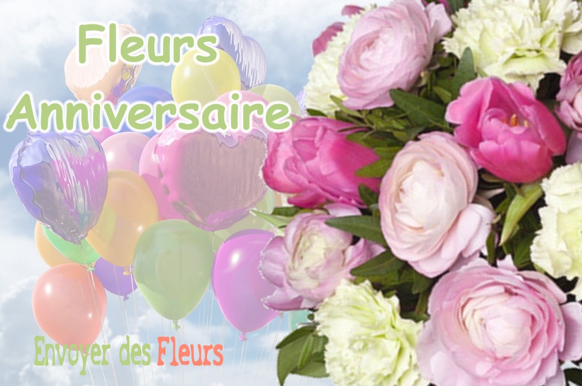 lIVRAISON FLEURS ANNIVERSAIRE à VILLE-SOUS-ANJOU