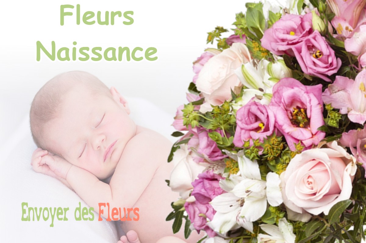 lIVRAISON FLEURS NAISSANCE à VILLE-SOUS-ANJOU